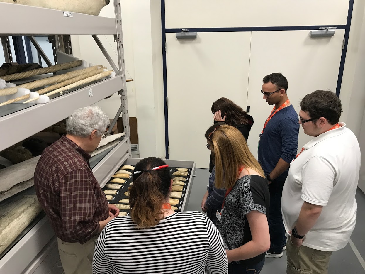 Mystic Seaport Internships Mystic Seaport Museum