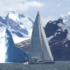 Shaman, South Georgia Island