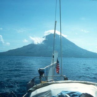 Rabbit in the South Pacific
