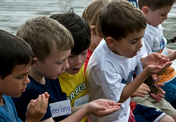 Junior Explorers Summer Day Camp